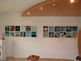 Ausstellung Meise stiegeler 001